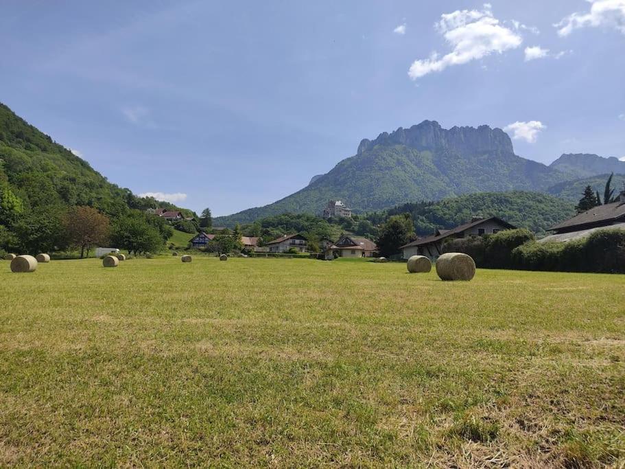 Bel Appartement Au Calme A 5 Minutes Du Village Menthon-Saint-Bernard Kültér fotó